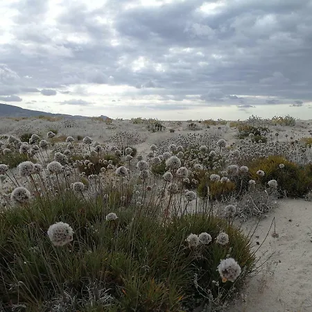 Apartamento Casa Poli